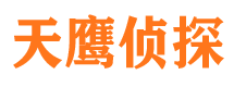 九龙坡市私家侦探